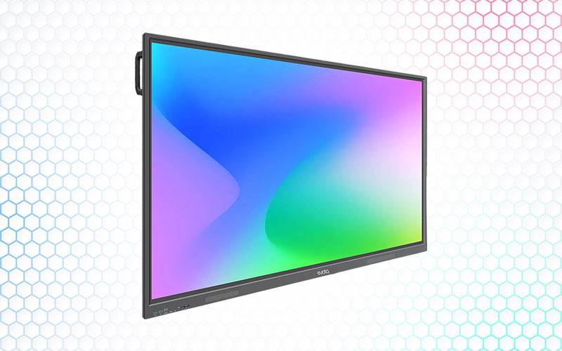 The Valuable Role of Interactive Panels in Empowering Education