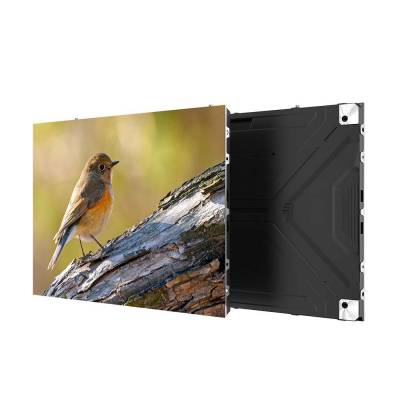 PRO Series in Mainpuri